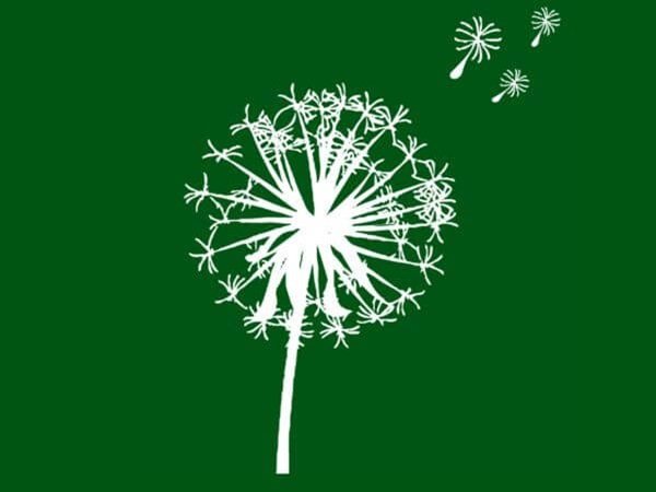 Lina Liubertaite Garden style konferencija